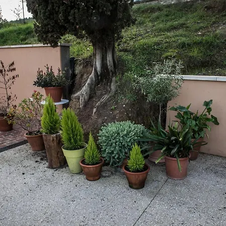 Terre Di בית חווה אניירי